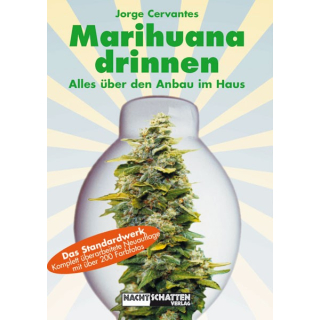 Marijuana Drinnen - Cervantes Jorge (2024)