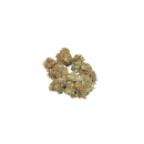 Wild Wild Weed - Billy The Weed Jack Herrer (CHF 50.00/25g)